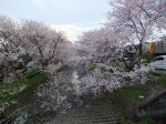 dscf1593