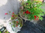 dscf1683