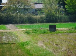 我が町