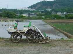 田植え