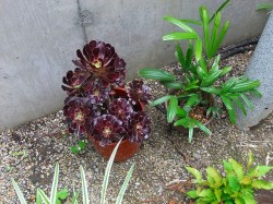 dscf2208