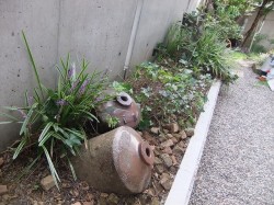dscf2657