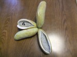 dscf2661