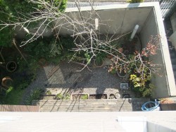 エコ住宅