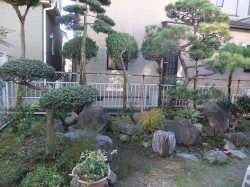 dscf2944 dscf2944