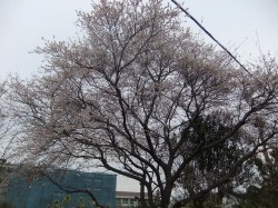思い込み