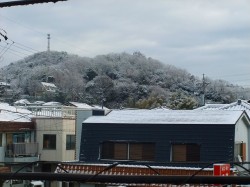 今年はどんな年か
