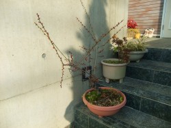 dscf3164