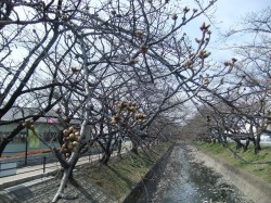 私が出来るとこ