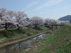 いつもは二人