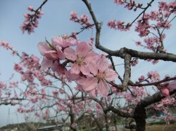 春は新たな始まり