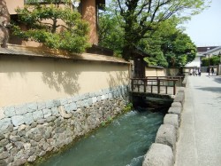 たまには一緒に