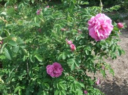 dscf3642