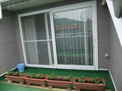 dscf3773