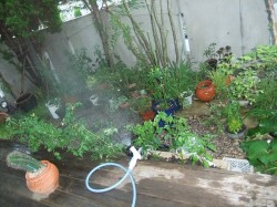 dscf3885