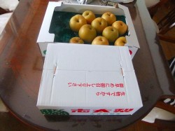dscf4146