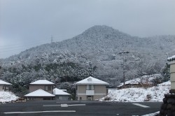 子育て