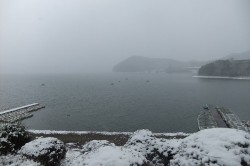 雪にも負けず