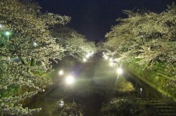 dscf5284