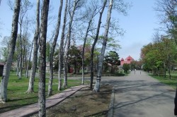 dscf5624