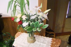 dscf6005