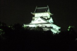 女性の鵜匠