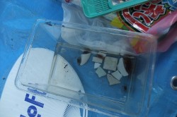 dscf61751