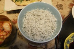 dscf6909