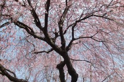 dscf7197