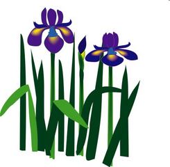 5月12日(日)工場見学会開催のご案内