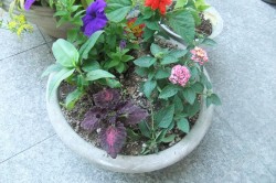 dscf75151