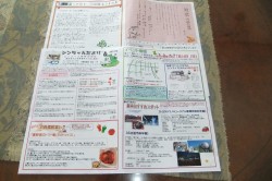 シンちゃんたより6月号