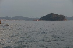 dscf8333