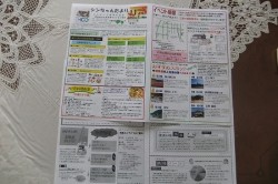 dscf8383