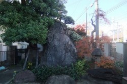 dscf8406