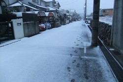 dscf8690