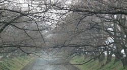 dscf8920