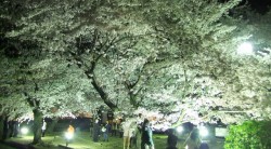 dscf8978