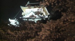dscf8983