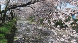 dscf90471