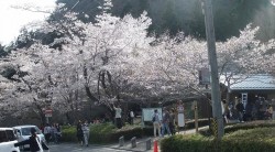 dscf9078