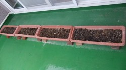 恵み