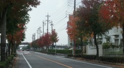 s-dscf0020