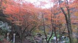 s-dscf0093