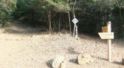 休日は