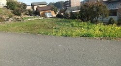s-dscf0577