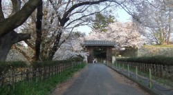 s-dscf0632