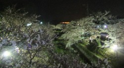s-dscf0654