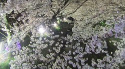 s-dscf0657