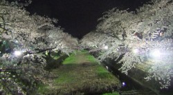 s-dscf0667